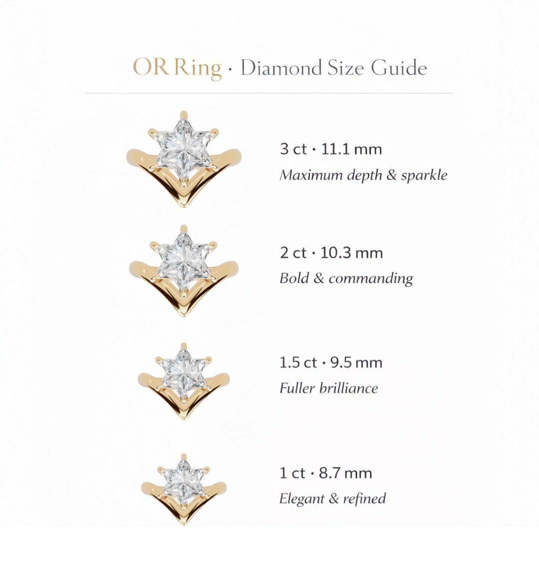 Ring Product Guide Image